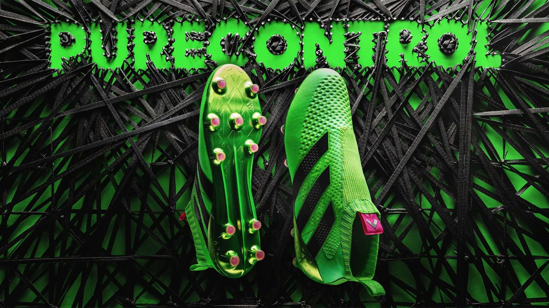 吸引了无数 吸引了无数